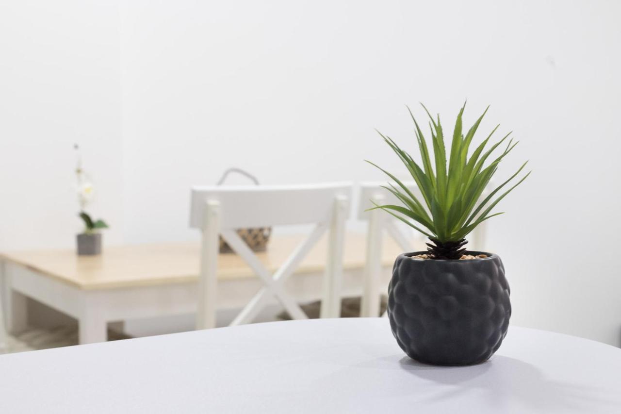 Moonkey - Apartamento Amaralba A Alicante Dış mekan fotoğraf